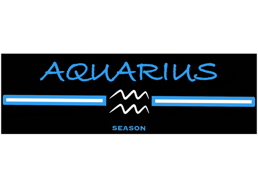 (PRE ORDER) Aquarius Season T-shirt